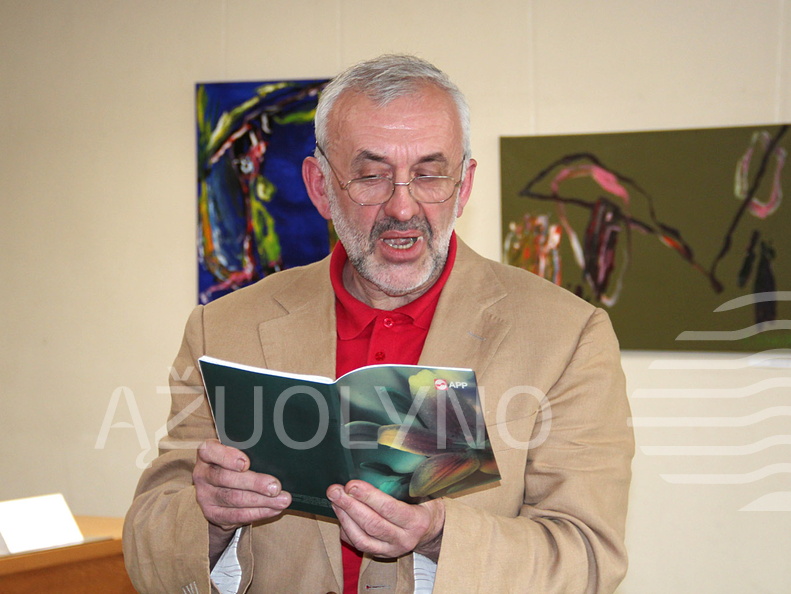 Eiles skaitė Vytautas Steponavičius