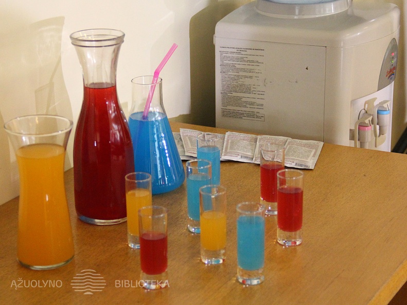 Vasara su knyga atidarymas