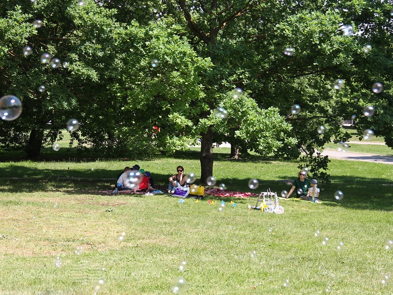 Vasara su knyga atidarymas