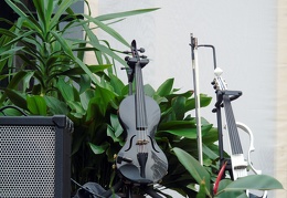 Renginio akimirka
